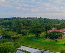 Upper Thomson Road (D26), Condominium #460942831